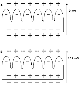 Elektrocyter