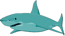 Haj