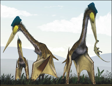 Flygödlan Quetzalcoatlus northropi, det största kända flygande djuret