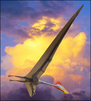 Flygödlan Quetzalcoatlus northropi, det största kända flygande djuret