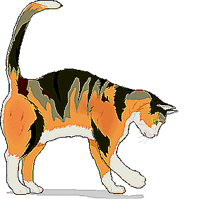 Katt