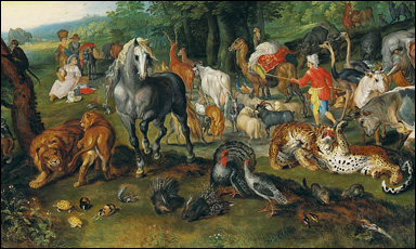 Noaks ark