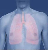 Luftvägarna blir trängre vid astma