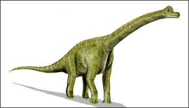 Brachiosaurus