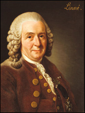 Carl von Linné